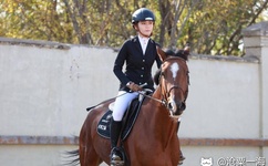 99国产精品白浆在线观看免费